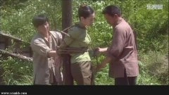 赵媛媛*