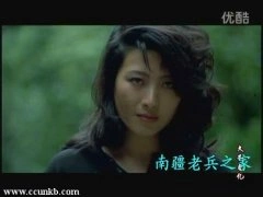 王静