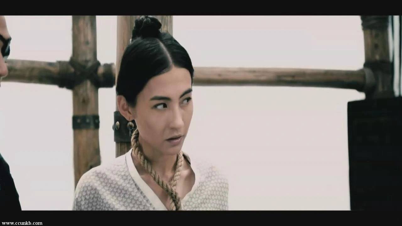 张柏芝