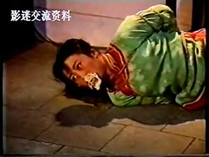 康德第一保镖传奇