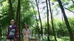 刘思彤