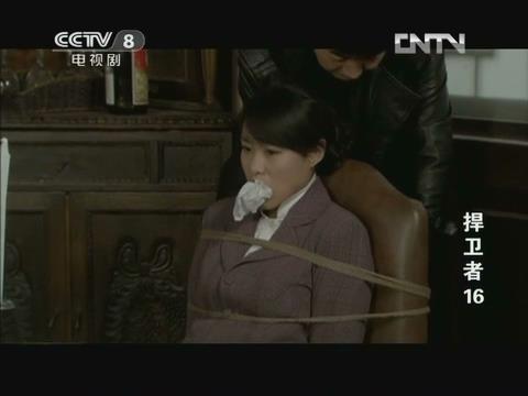 捍卫者（又名：最后一个特务）