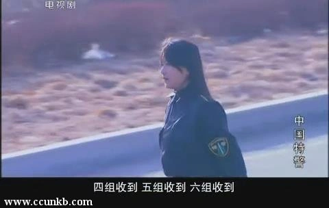 丁甜