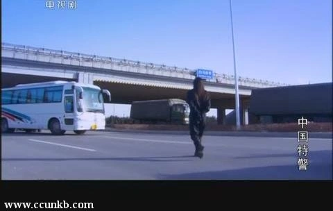 丁甜