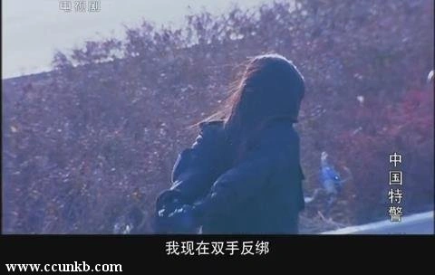 丁甜