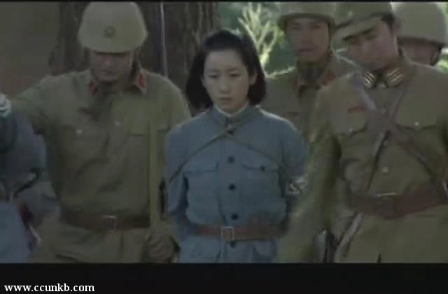 秦海璐
