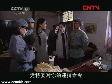 王娅楠