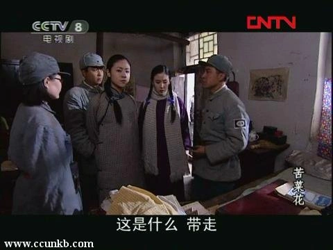 王娅楠*