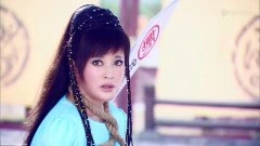 刘晓庆*