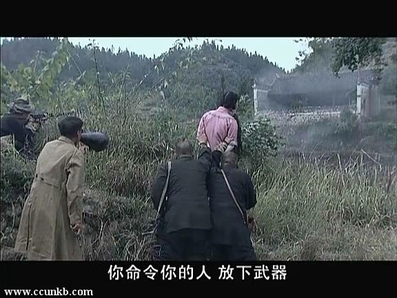 陈紫涵