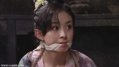 赵丽颖
