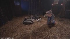 赵丽颖