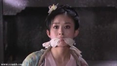 赵丽颖