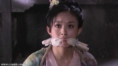 赵丽颖