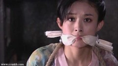 赵丽颖