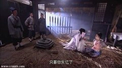 赵丽颖