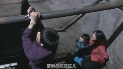 徐杨