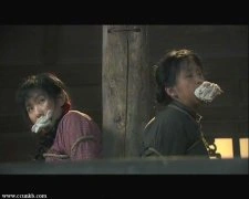 乔雪凤