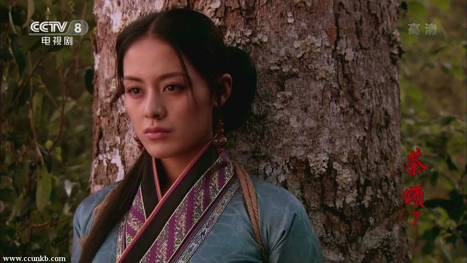王力可