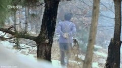 王文娜