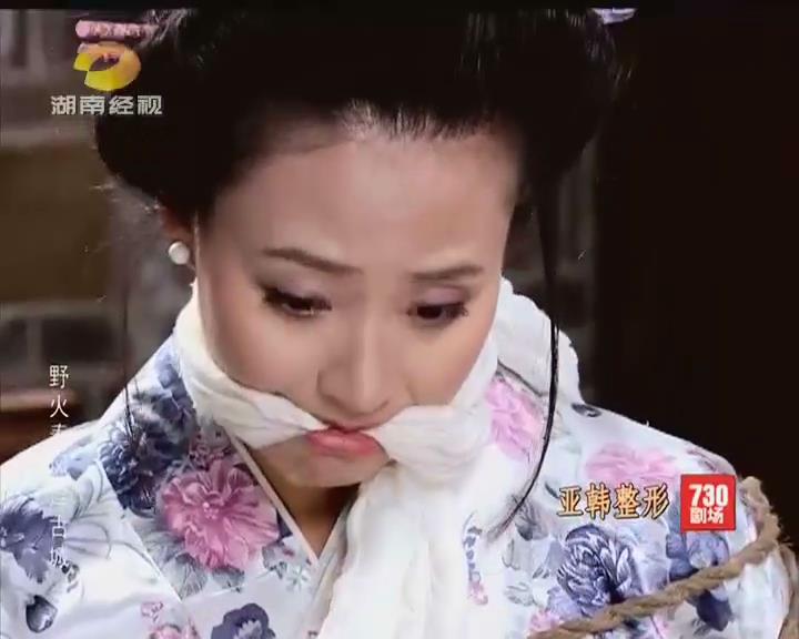 野火春风逗古城