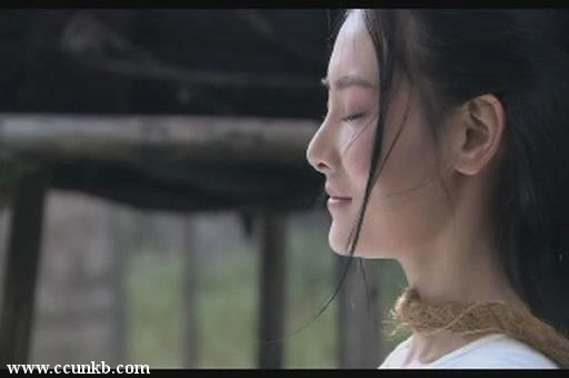 丁梦雨