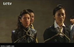 曲栅栅,苑冉