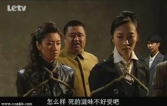 曲栅栅,苑冉