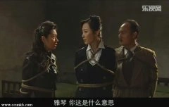 曲栅栅,苑冉