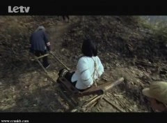 齐一闻