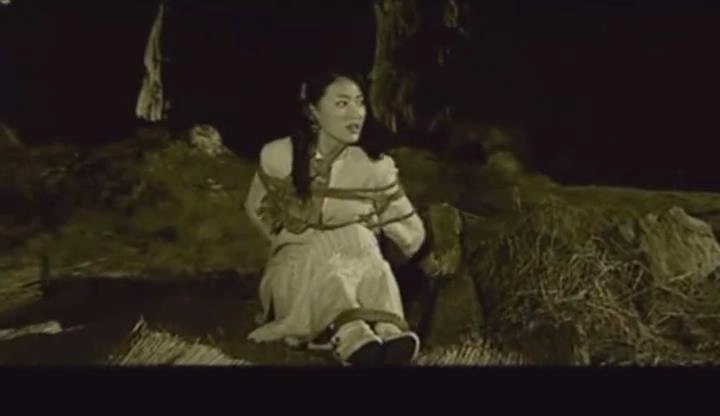 甘婷婷