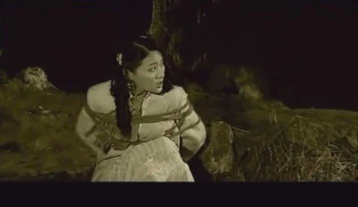 甘婷婷