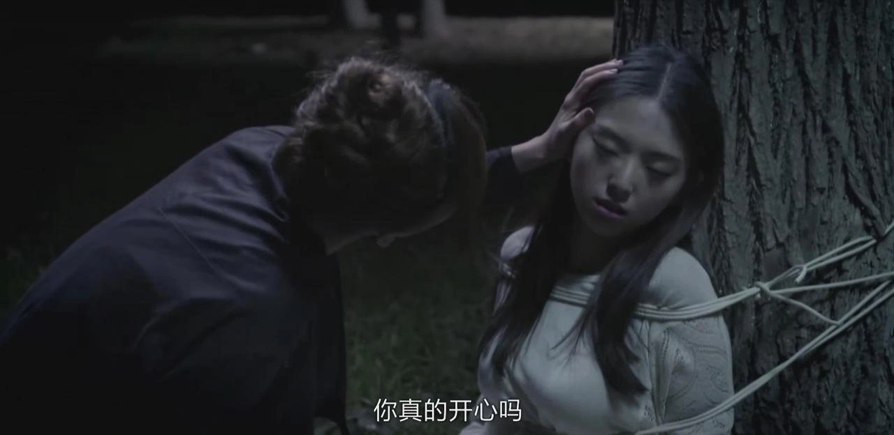 陈菲