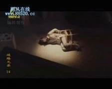 郑萍