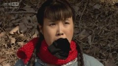 宋欣洁