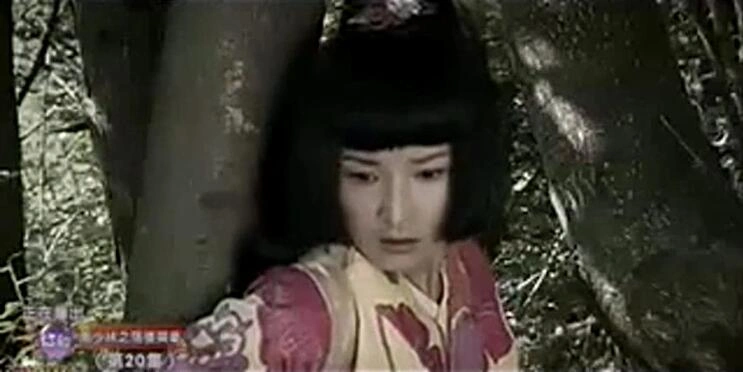 南少林荡倭英豪