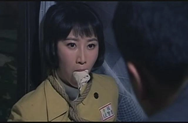 赵子惠