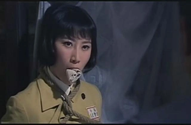 赵子惠