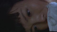 金晨