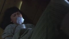 金晨