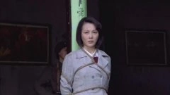 刘雨鑫*