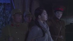 苏丹萍