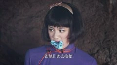 陶洋
