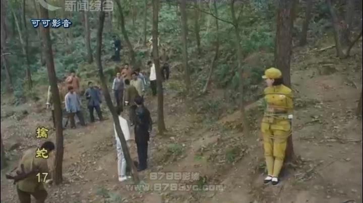 郑亦桐