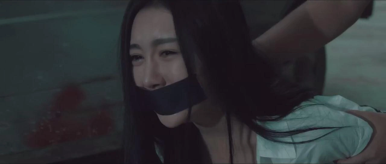 攻炮砖家