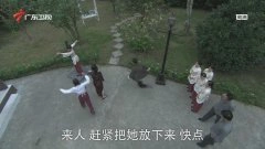 杨幂