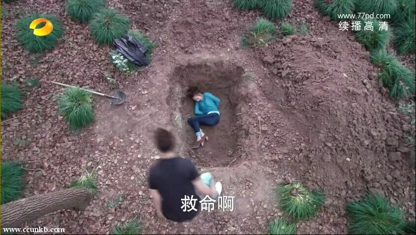 李沁