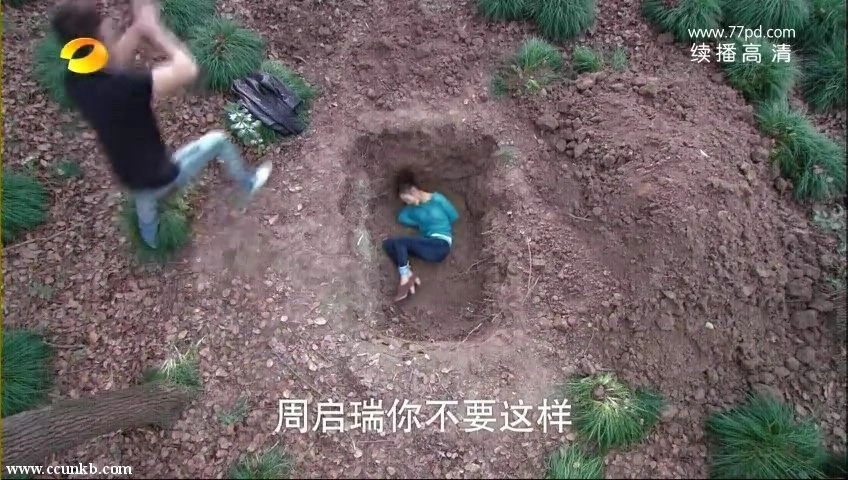 李沁
