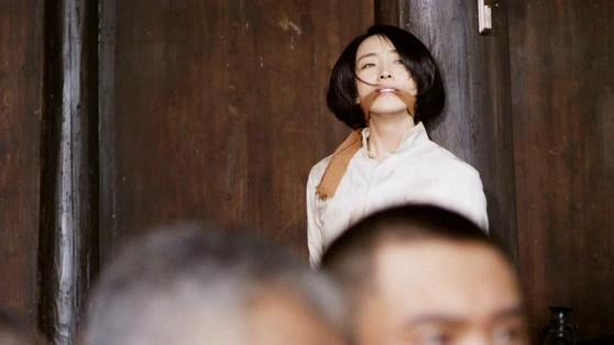 刘晓洁