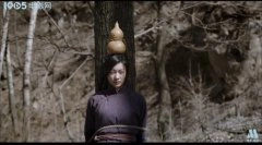 佴雯